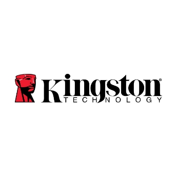 Visualizza prodotti fabbricati da KINGSTON Immagine per il produttore KINGSTON