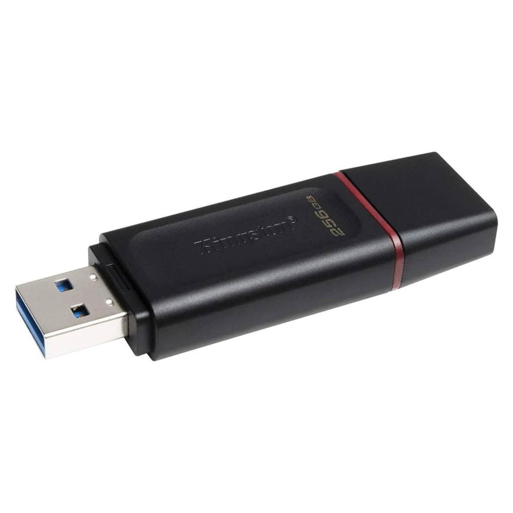 Immagine di MEMORIA USB 256GB 3.2 KINGSTON DTXM/256GB