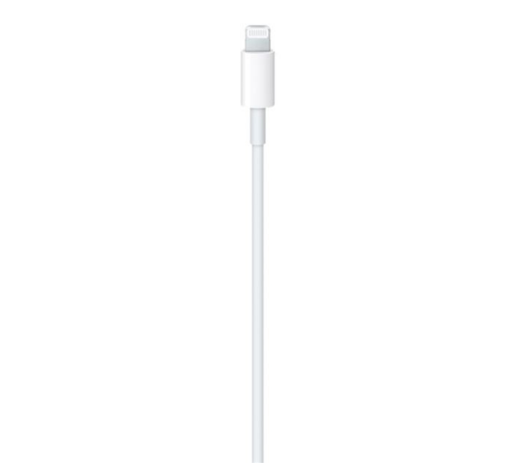 Immagine di CAVO LIGHTNING A USB-C 2M FAST CHARGE APPLE MQGH2ZM/A