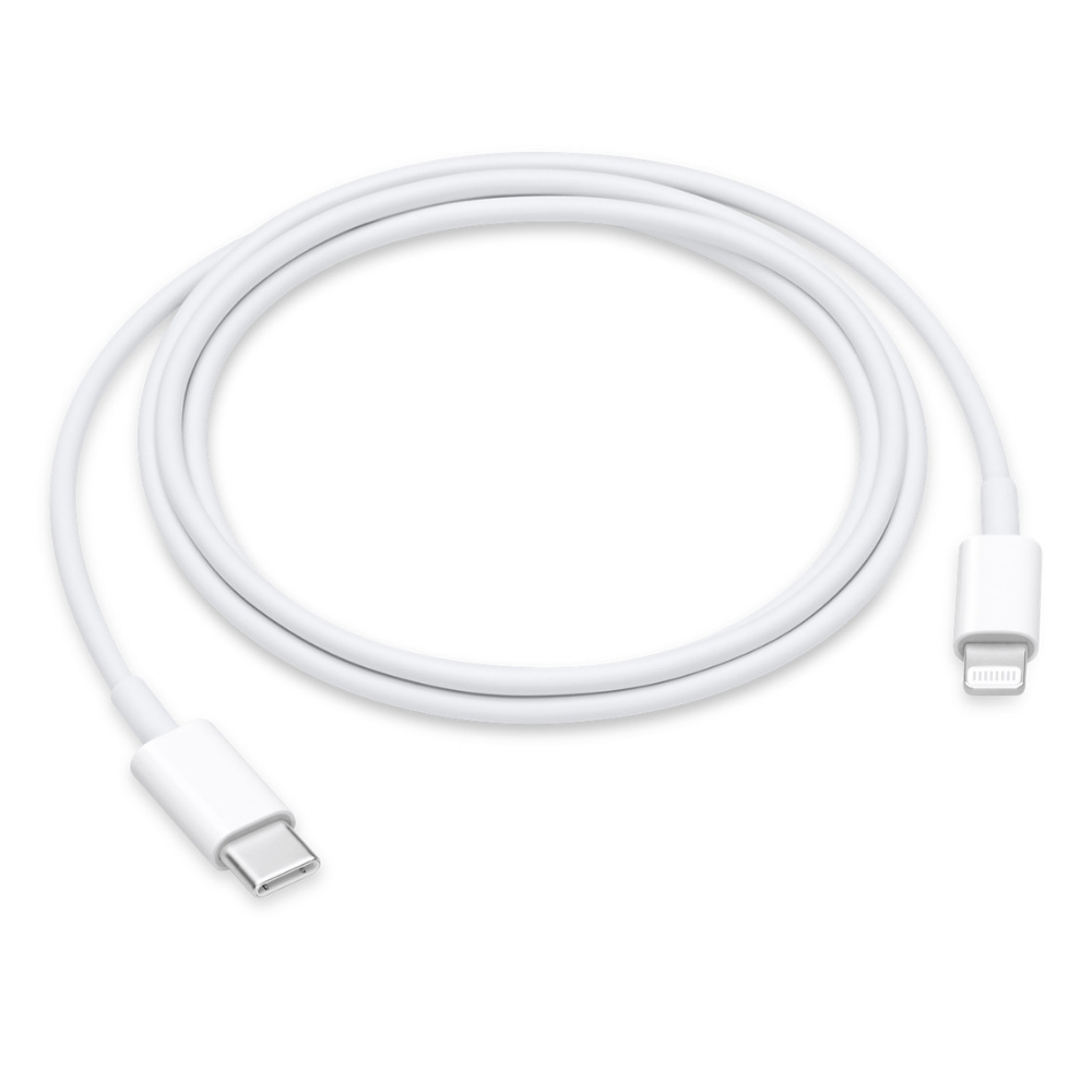 Immagine di CAVO LIGHTNING A USB-C FAST CHARGE 1MT APPLE MM0A3ZM/A