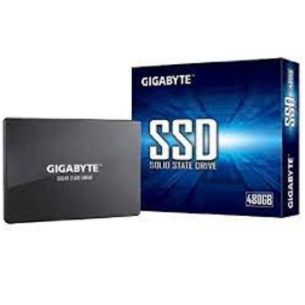 Immagine di HARD DISK 2,5 SSD 1TB GIGABYTE GP-GSTFS31100TNTD