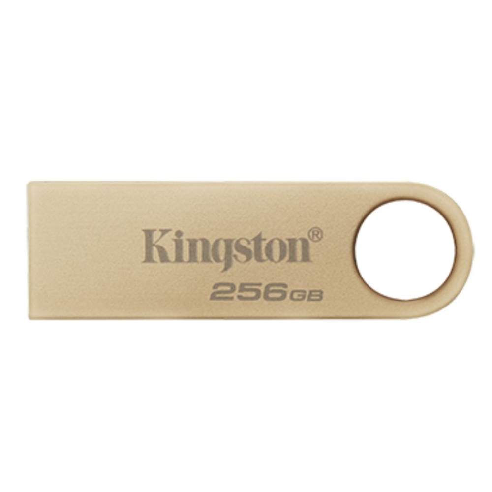 Immagine di MEMORIA USB 256GB 3.2 KINGSTON DTSE9G3/256GB