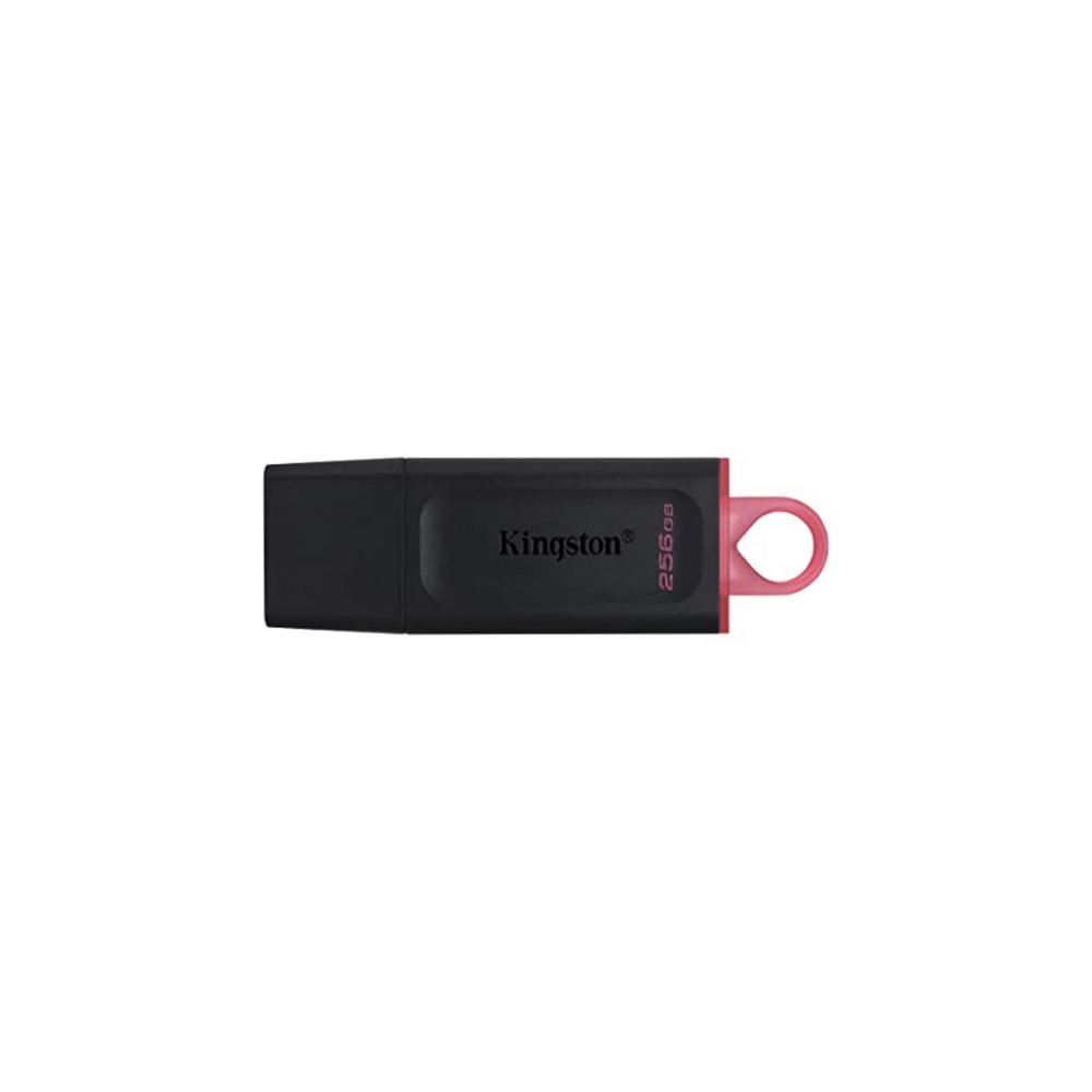 Picture of MEMORIA USB 256GB 3.2 KINGSTON DTX/256GB