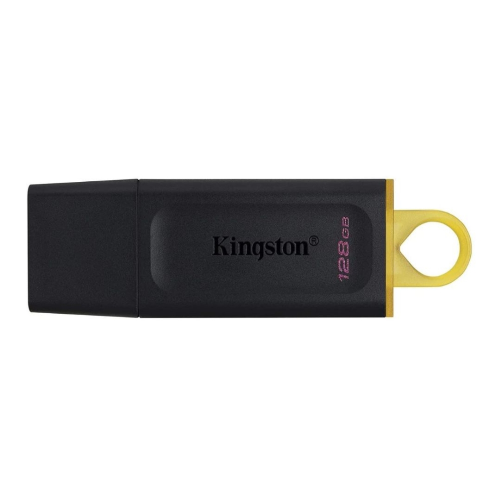 Immagine di MEMORIA USB 128GB 3.2 KINGSTON DTXS/128GB