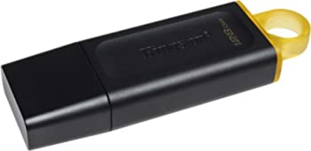 Immagine di MEMORIA USB 128GB 3.2 KINGSTON DTX/128GB