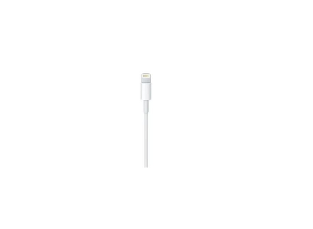 Immagine di CAVO LIGHTNING A USB 0,5M APPLE ME291ZM/A