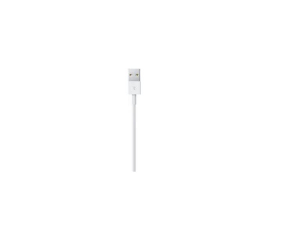 Immagine di CAVO LIGHTNING A USB 0,5M APPLE ME291ZM/A