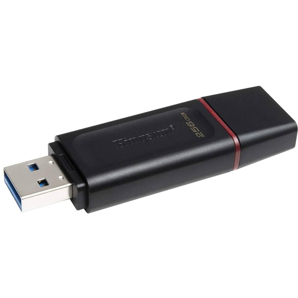 Immagine di MEMORIA USB 256GB 3.2 KINGSTON DTX/256GB