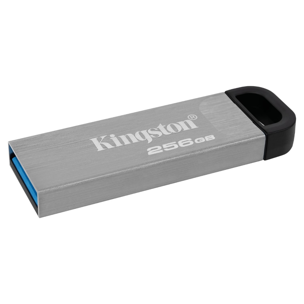 Immagine di MEMORIA USB 256GB 3.2 KINGSTON DTKN/256GB