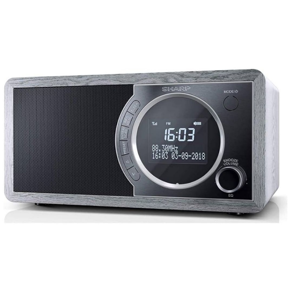 Immagine di RADIO DIGITALE PORTATILE SHARP DR-450 GRAY