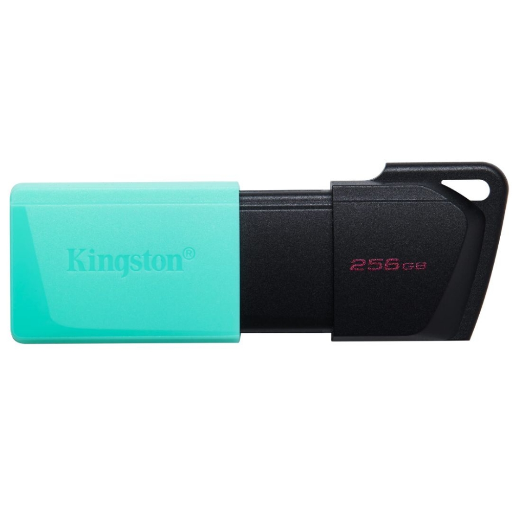 Picture of MEMORIA USB 256GB 3.2 KINGSTON DTXM/256GB
