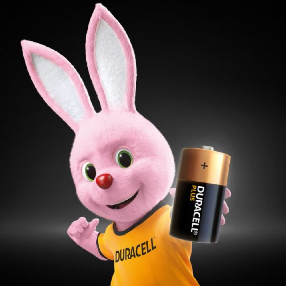 Picture of BATTERIA C MEZZA TORCIA ALCALINA 2PZ DURACELL PLUS POWER MN1400