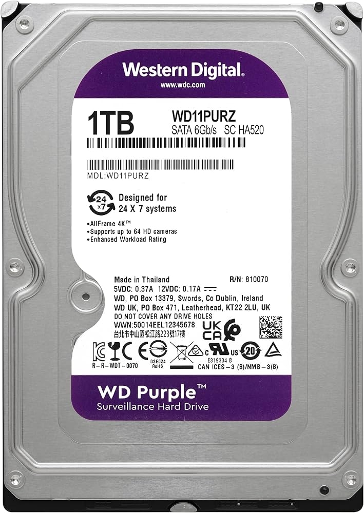 Immagine di HARD DISK 3,5 SATA III 1TB WESTERN DIGITAL WD11PURZ PURPLE