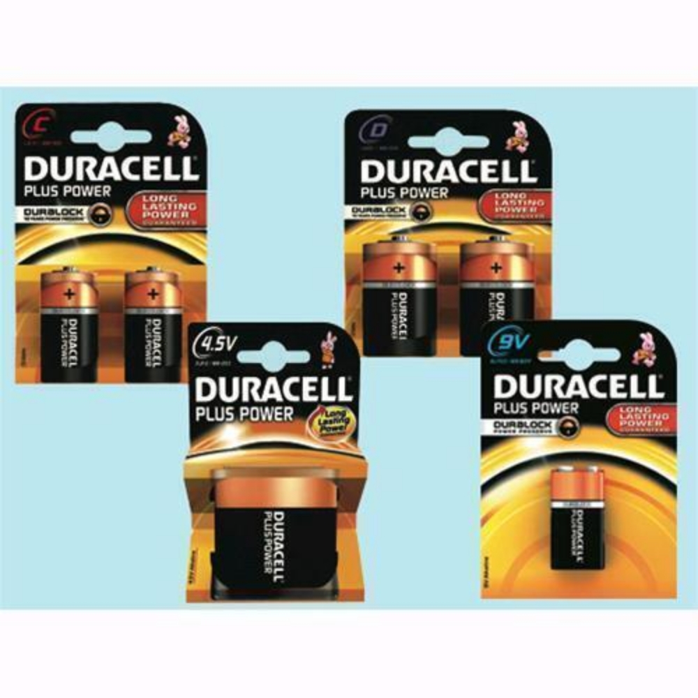 Immagine di BATTERIA TORCIA ALCALINA 2PZ DURACELL PLUS POWER MN1300