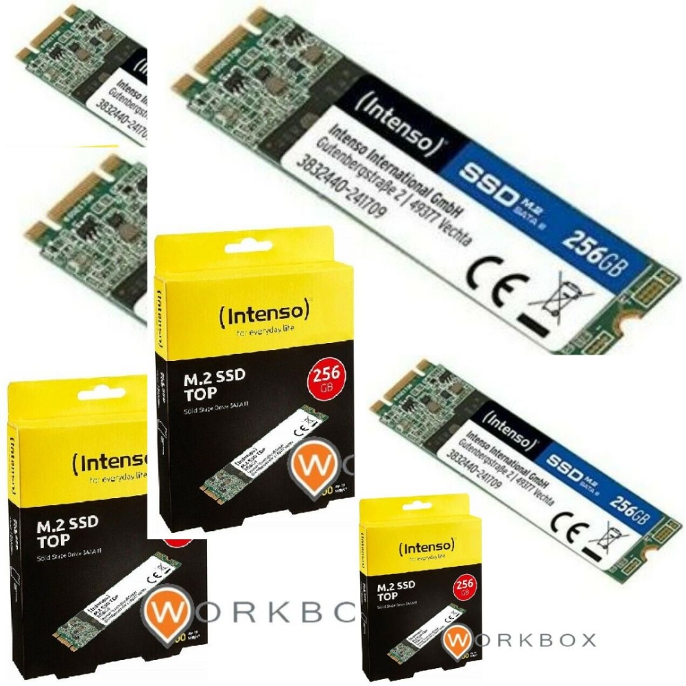 Picture of HARD DISK M.2 SSD 256GB INTENSO M.2 TOP 3832440
