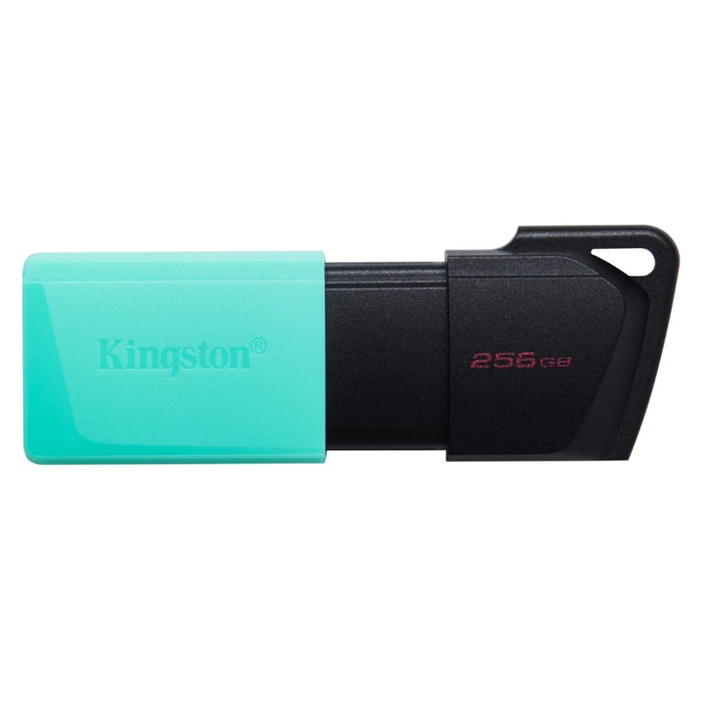 Picture of MEMORIA USB 256GB 3.2 KINGSTON DTXM/256GB
