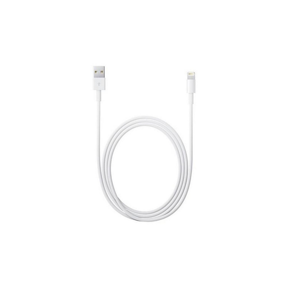 Immagine di CAVO LIGHTNING A USB 1M APPLE MXLY2ZM/A