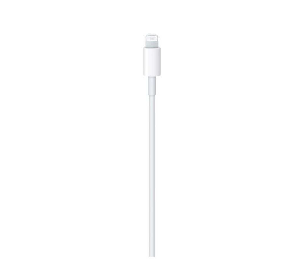 Immagine di CAVO LIGHTNING A USB-C 1M FAST CHARGE APPLE MUQ93ZM/A